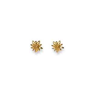 ohrstecker, edelweiss, ohrschmuck, blüte, blumen, schweiz, goldschmuck, weissgold, gelbgold, stecker, sahak, goldschmiede, jewellery, swissmade, winterthur, damenschmuck, kinderschmuck